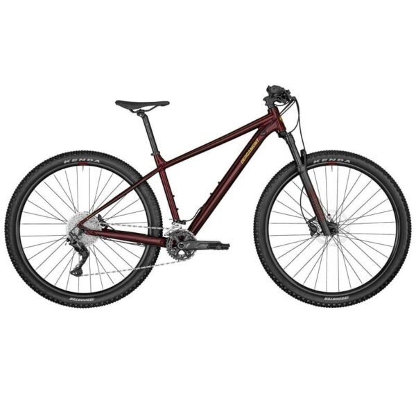 Bergamont Revox 7