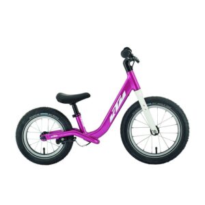 KTM Wild Buddy 12